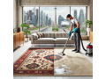 expert-rug-cleaning-in-toronto-professional-affordable-services-small-0