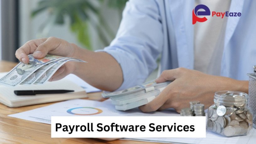 simplify-your-payroll-with-easy-to-use-payroll-software-services-big-0