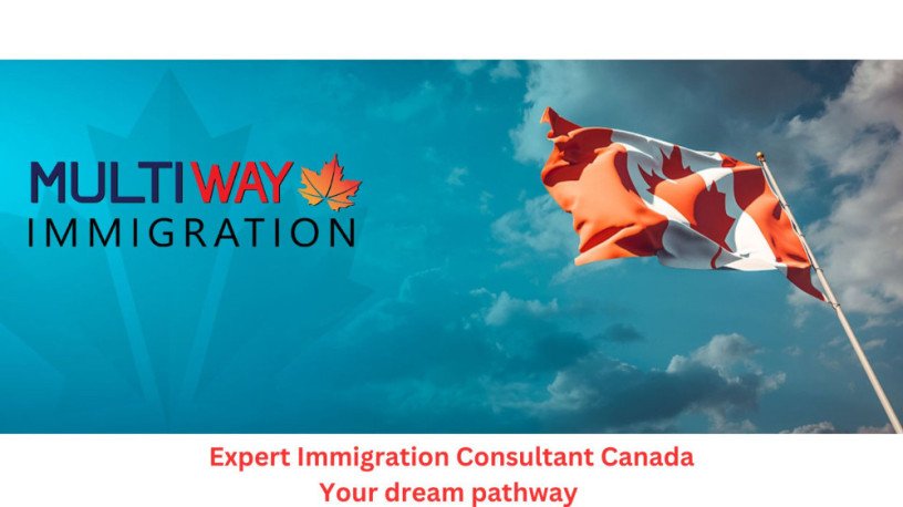 expert-immigration-consultant-canada-your-dream-pathway-big-0