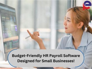 Affordable HR Payroll Software for Small Business Efficiency!