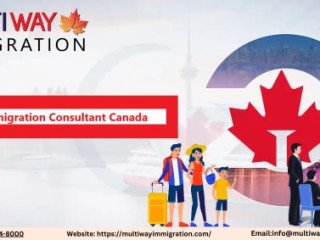 How Immigration Consultants in Canada Can Simplify Your Visa Process