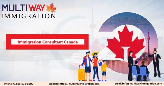 how-immigration-consultants-in-canada-can-simplify-your-visa-process-big-0