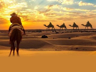 Desert Safari Abu Dhabi: Unforgettable Dune Adventure