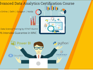 Job Guarantee Data Analyst Course in Delhi, 110034. SLA