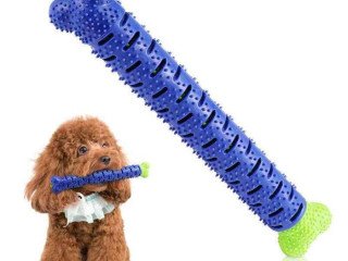 TPR Dog Toothbrush Chew Toy