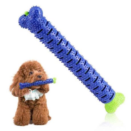 tpr-dog-toothbrush-chew-toy-big-0