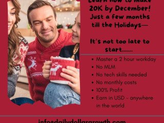 HOW TO MAKE $20K BY THE HOLIDAYS—100% UNDER THE RADAR!