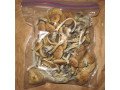 buy-psychedelics-online-small-0