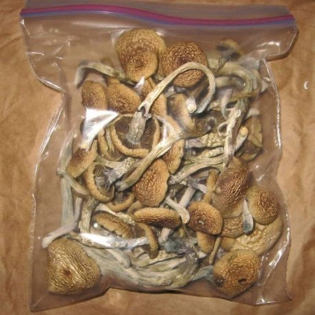 buy-psychedelics-online-big-0