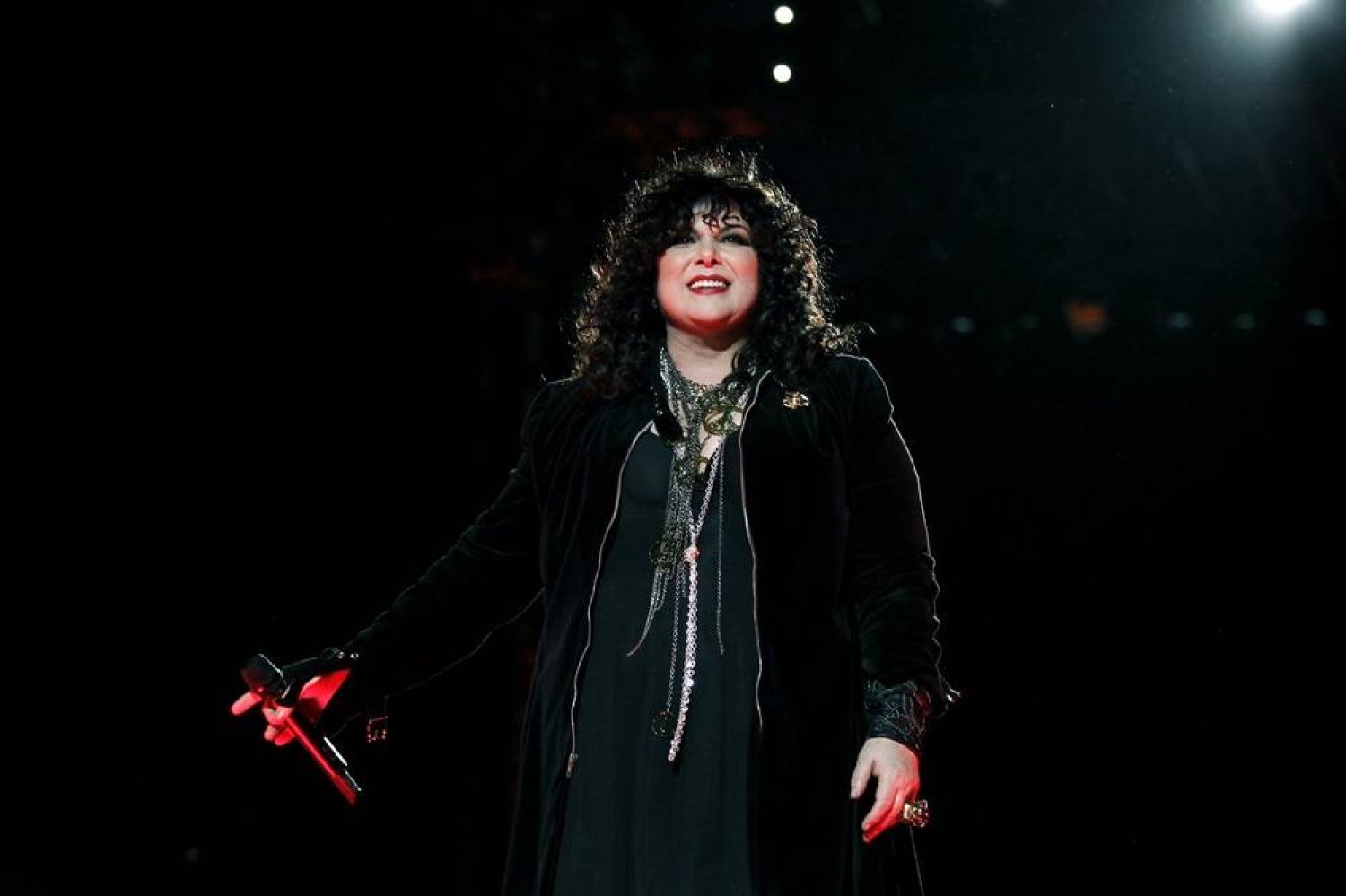 Ann Wilson's Cancer Battle Heart Postpones 2024 Tour