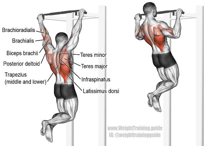 Pullup Exercise For Body Kaise Banaye